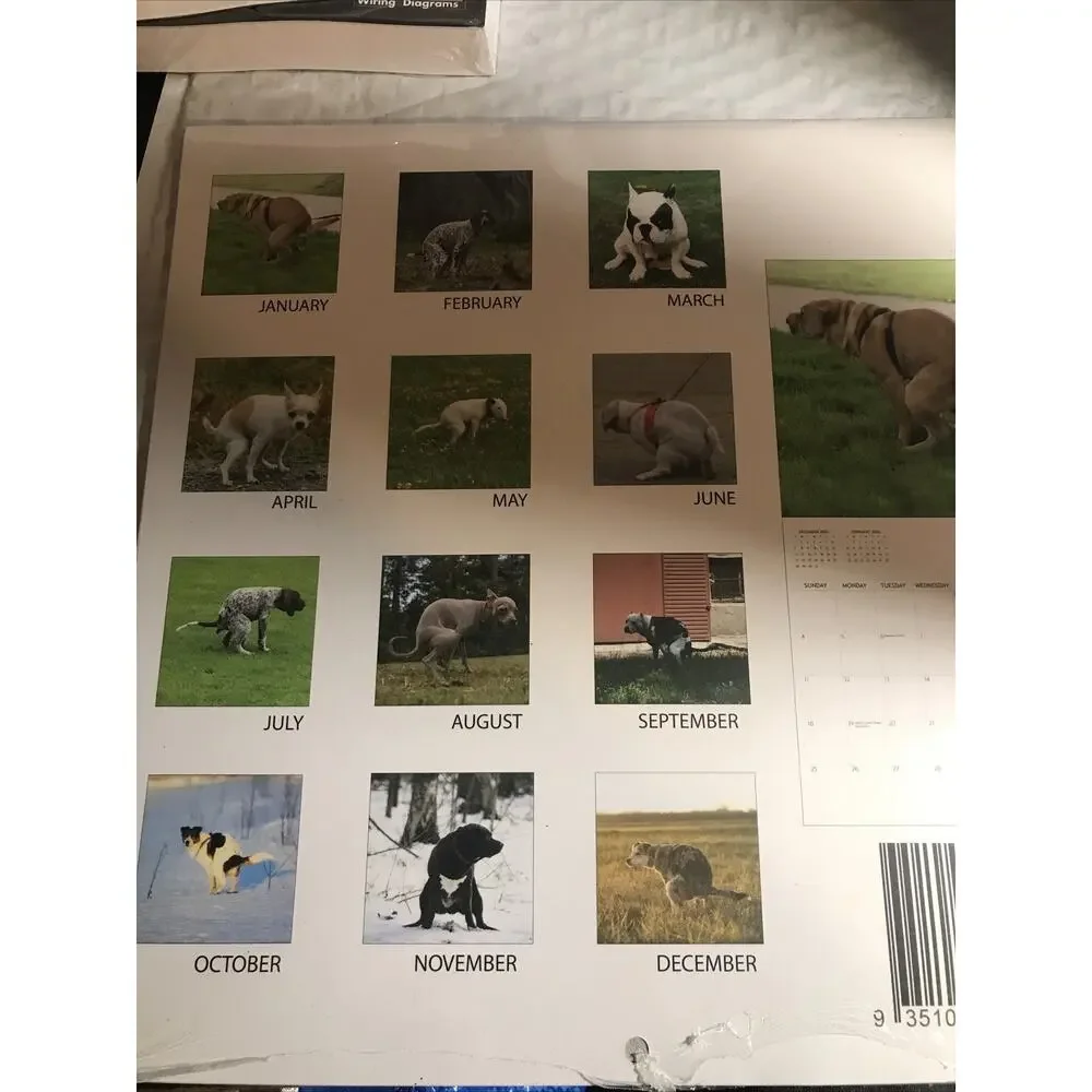 Dog Pooping Calendar 2026, 12 x 12 inch, Funny Gift, White Elephant, Gag Gift...